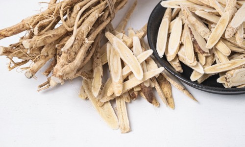 中药小檗的别名-小檗药用部位有哪些-小檗是什么中草药,中国小檗药用部位网站